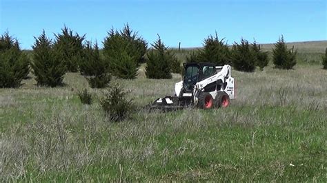 best skid steer for cedar removal|Skid Steer Attachments .